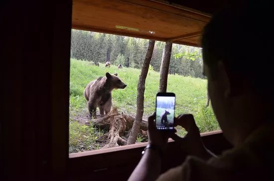 Outdoor Holidays (neotour Brasov)