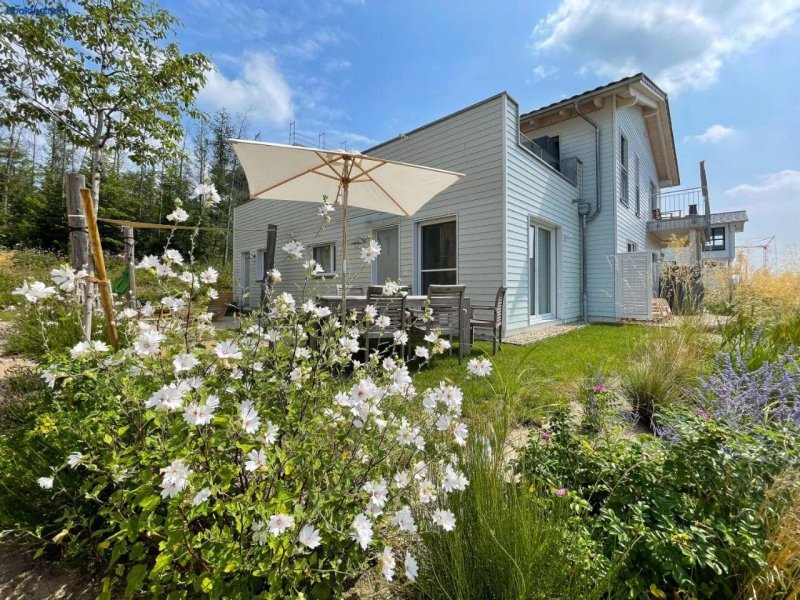Haus im Schilf - Ferienwohnungen am Hainer See bei Leipzig