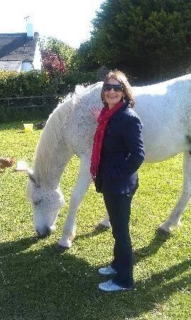 Little Widefield Farm