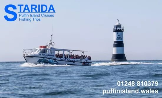 Starida Puffin Island Cruises & Sea Fishing Trips