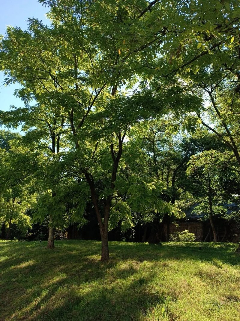 Park Kleparski