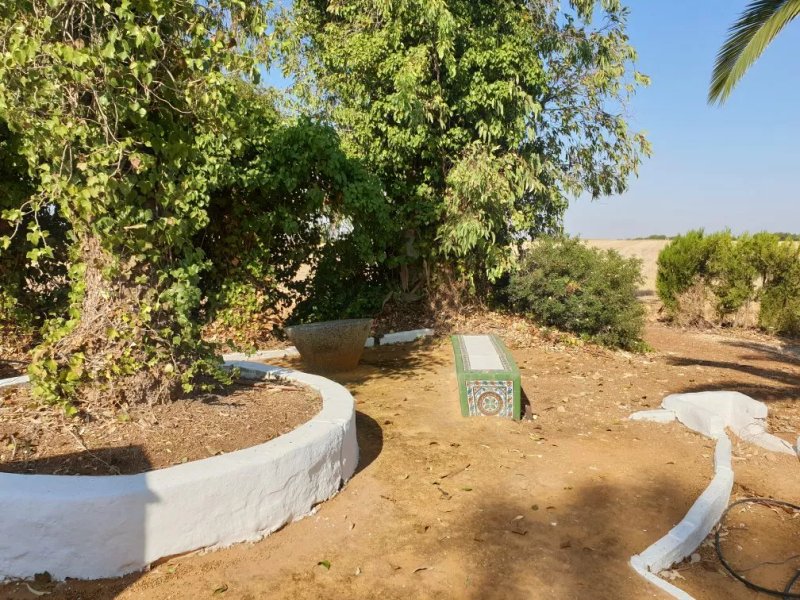 Hacienda San Jose