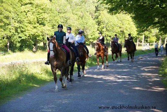 Stockholm By Horse