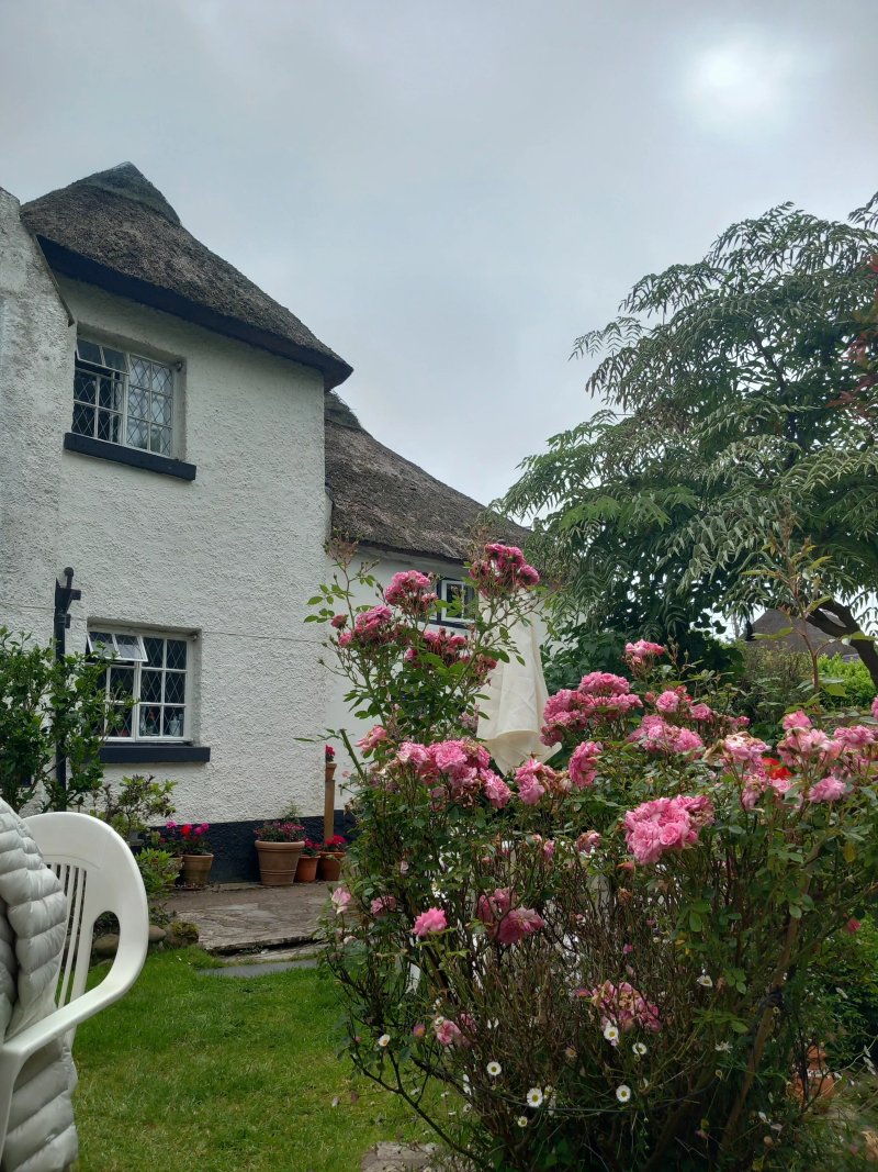 Southern Cross Guest House & Tea rooms