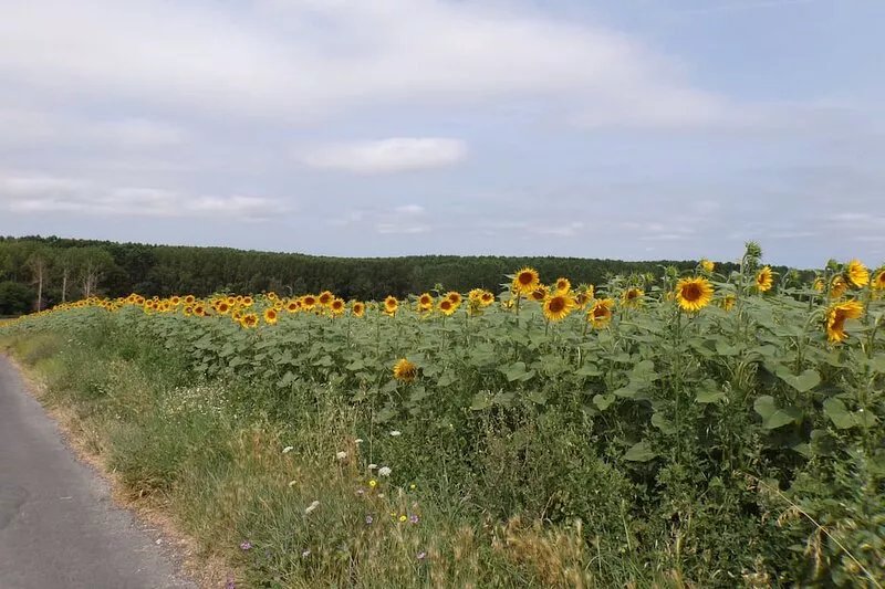 Maison de Campagne Avec Jardin et Parking Clos