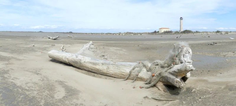 Camargue Confidentielle : Beauduc