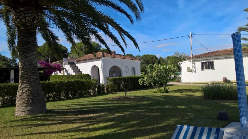 Colibri Ferienanlage and Bungalow Park