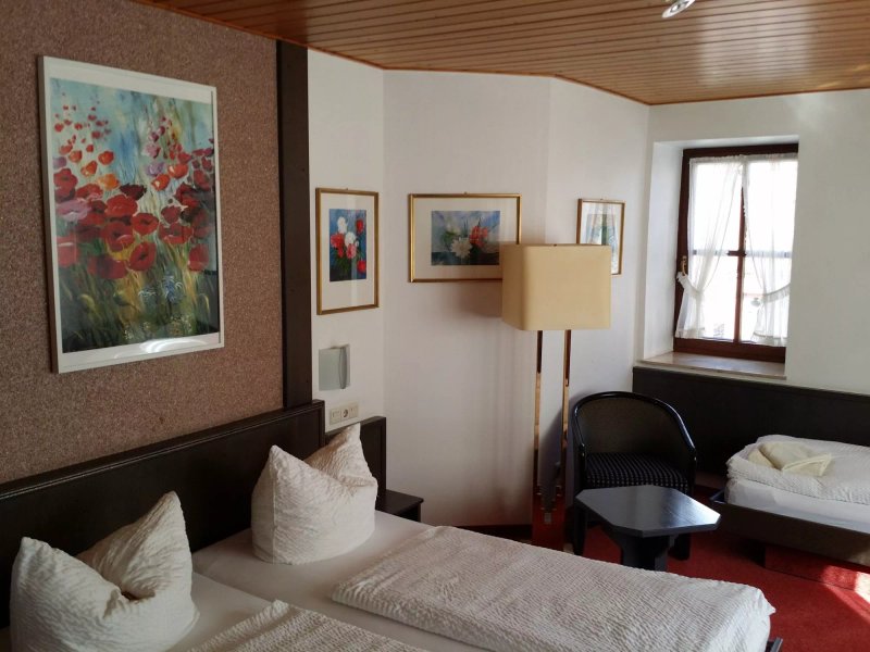 Hotel Landgasthof Grüner Baum - Dittigheim