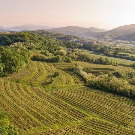 Spolert Winery