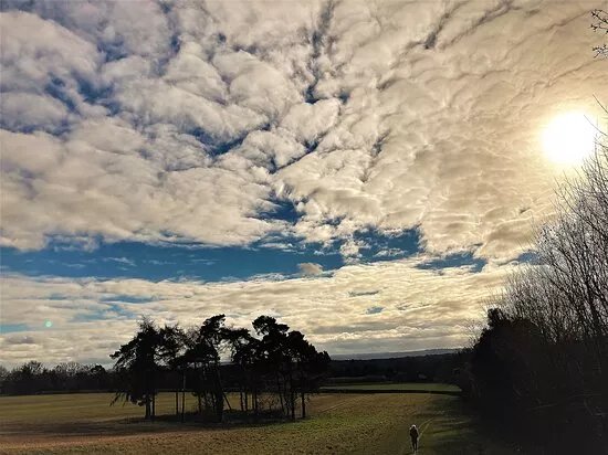 Ightham Mote Estate Walking Trails