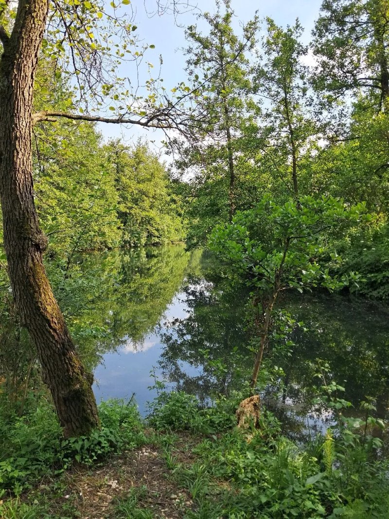 Risorgive Del Bacchiglione - Bosco di Dueville