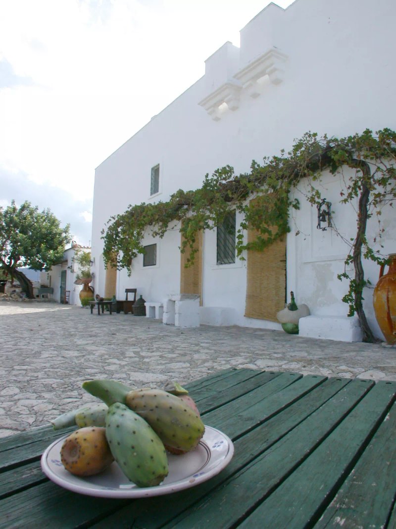 Masseria Ottava Piccola
