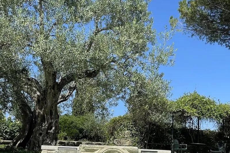 Oasis of peace on the outskirts of Perugia, apt in villa, private garden + pool