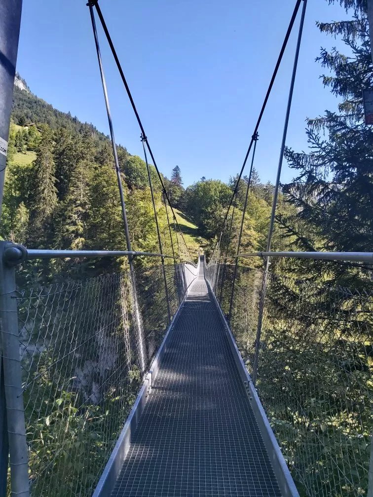 Hangebrucke Leiternweide