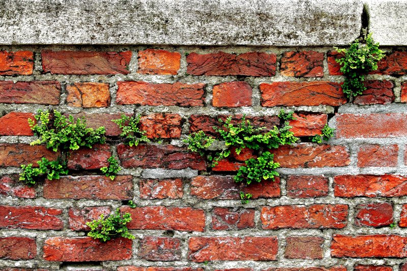 Perth Cemetery (china Wall)