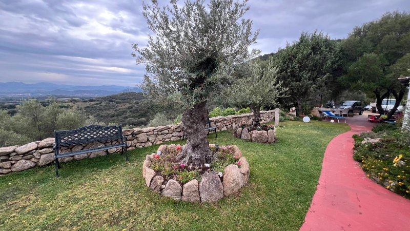 B&B Bellavista