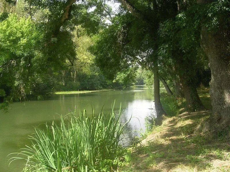 Cottage in the House of Joan of Arc, in the heart of the Loire Valley chateaux