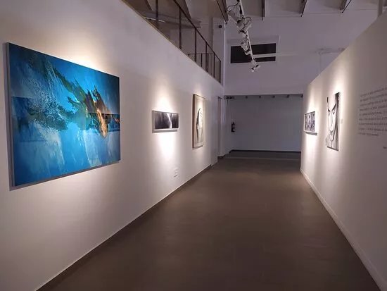 Museo de Arte Contemporaneo