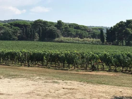 Tuscany for Cruise