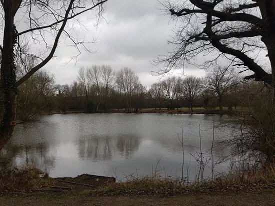 Pioneer Meadows Nature Reserve