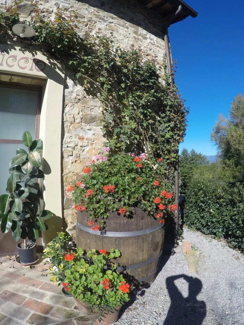 Agriturismo Azienda Agricola San Leolino