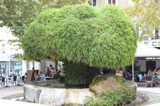 Office de Tourisme Salon de Provence