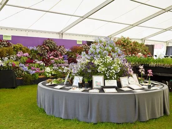 Shrewsbury Flower Show