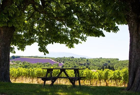 Domaine l'Ancienne Ecole