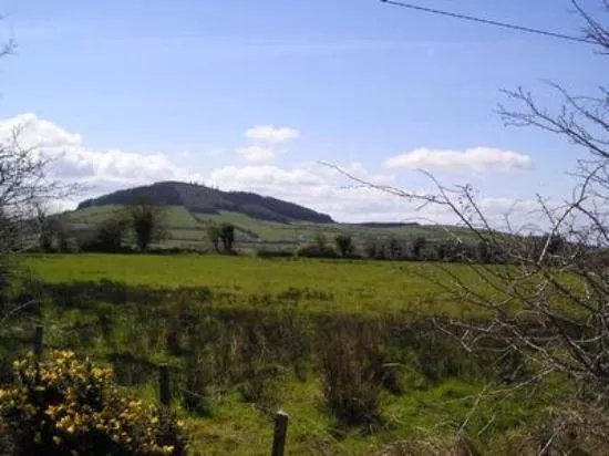 Tory Hill Mullinavat