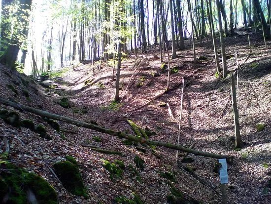 Elendsklamm