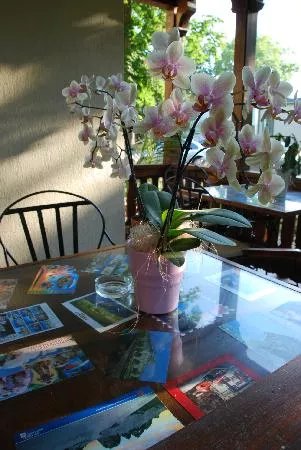 Villa Campana B&B