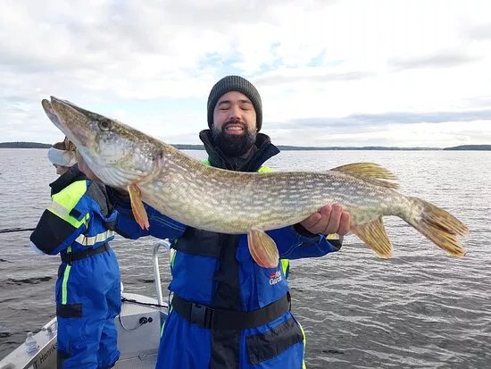 Henrikssons Fiske