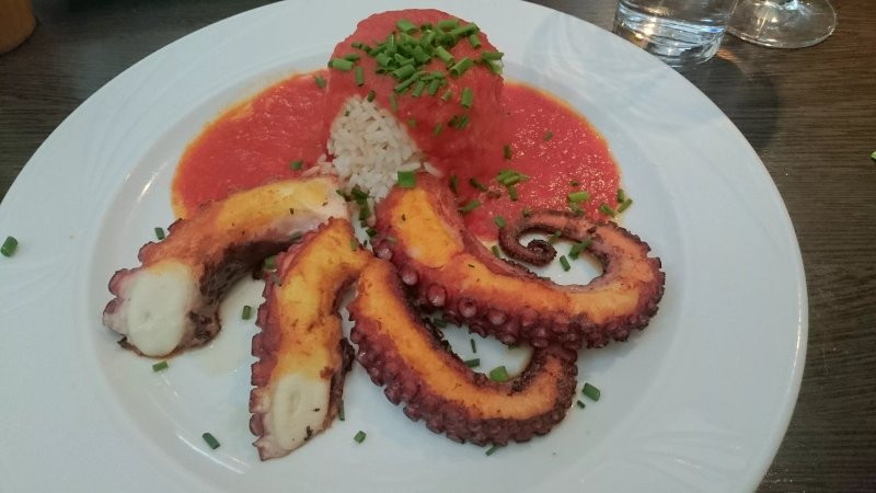 Wahl Fisch