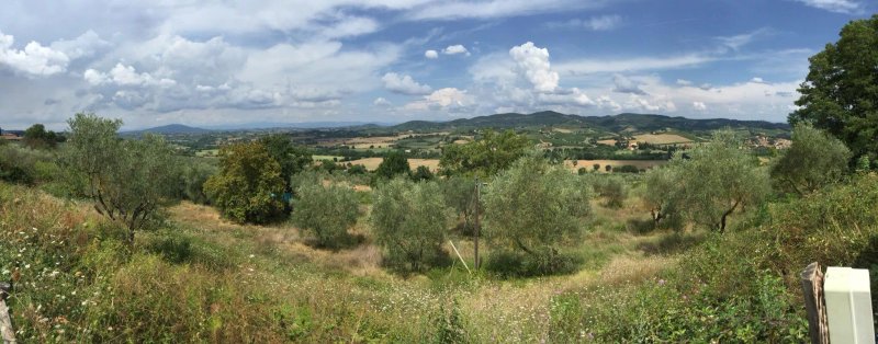 Agricampeggio Cipollatico