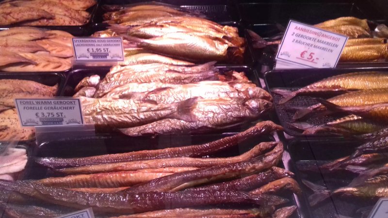 Fish Plaza
