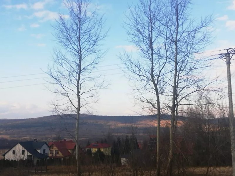 Agroturystyka u Moniki