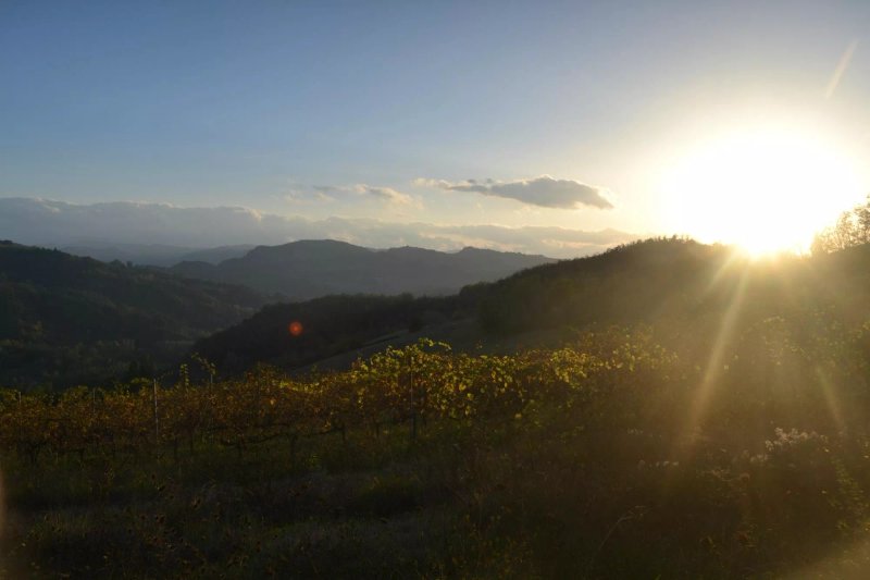 Agriturismo Il Poggiolo