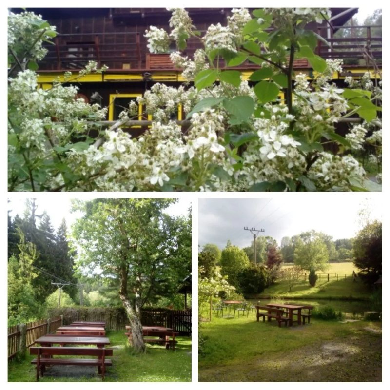 Restaurace U Certova
