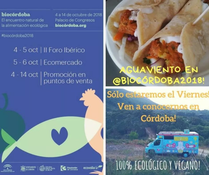 AguaViento WaterWind Organic and Vegan Foodtruck