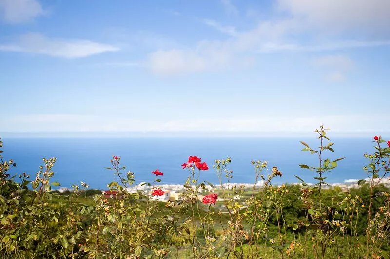 CASITA LAS UVAS SPECTACULAR RURAL FARMHOUSE  WITH  SEA VIEWS , SPA AND WIFI