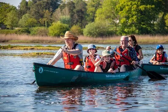 New Forest Activities