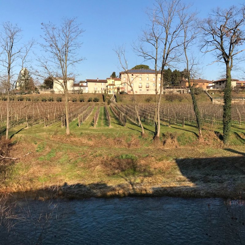 Casa Riz