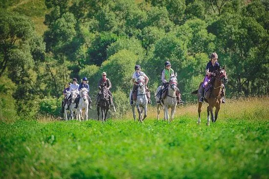 Count Kalnoky's Riding Holidays