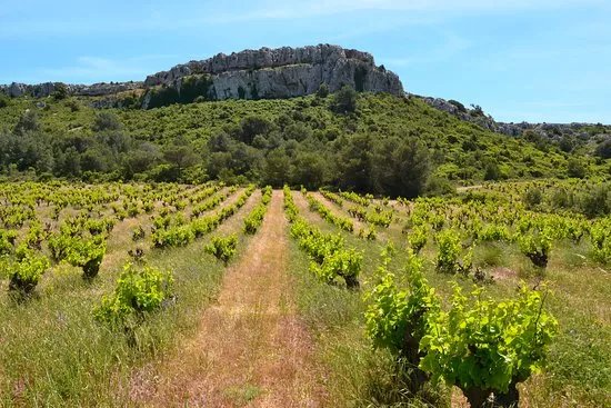 Chateau Pech Redon