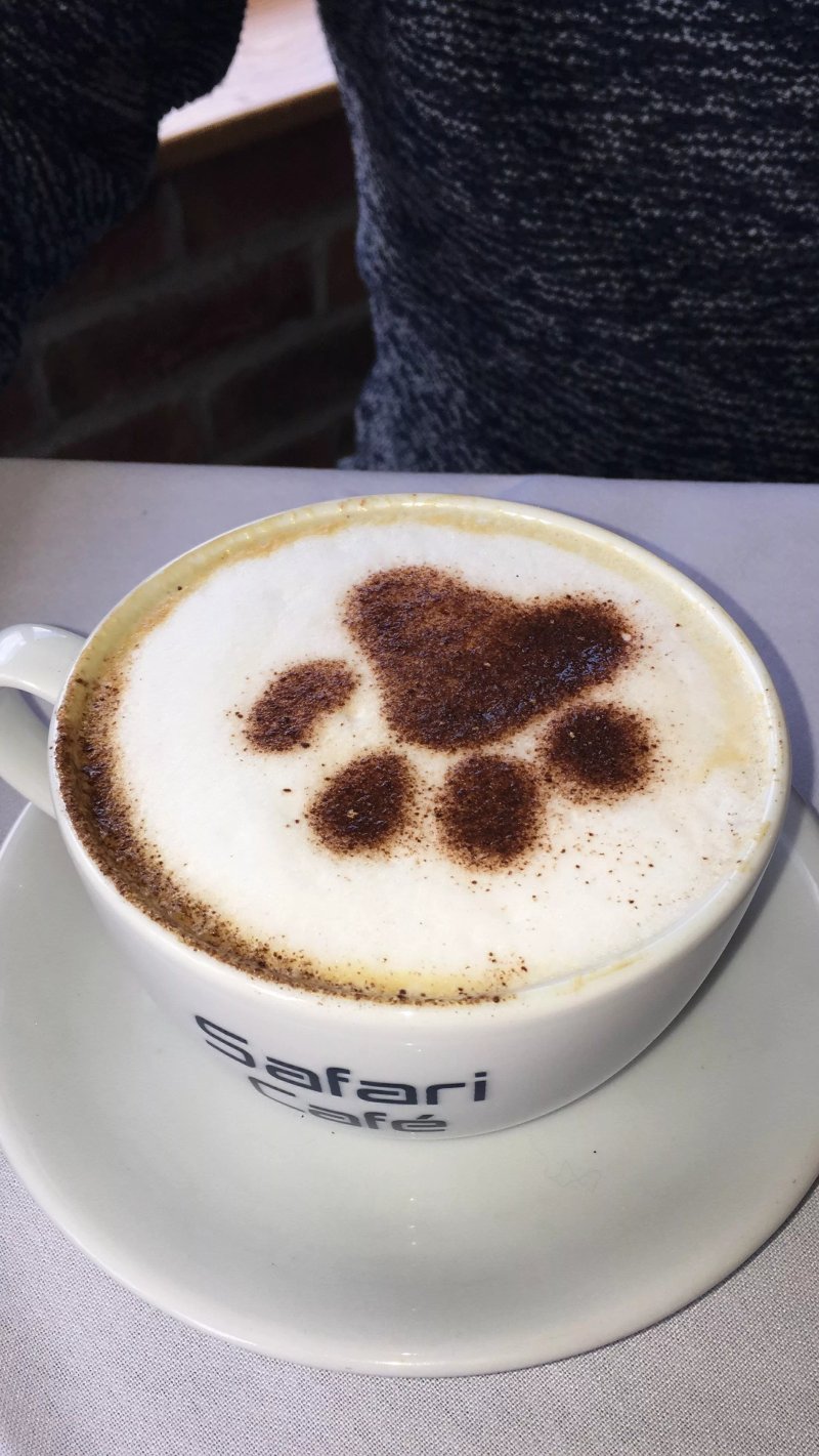 Safari Cafe