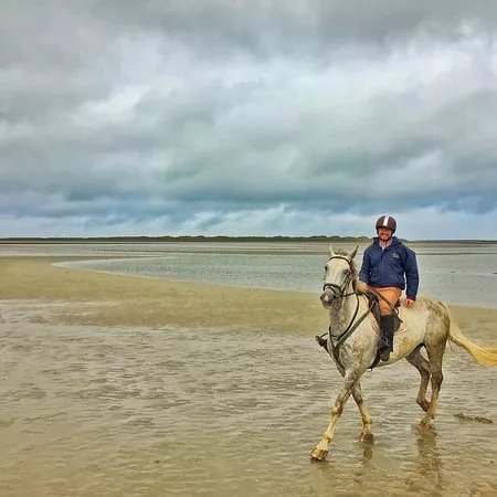 Go!trekking! Equestrian Holidays Ireland