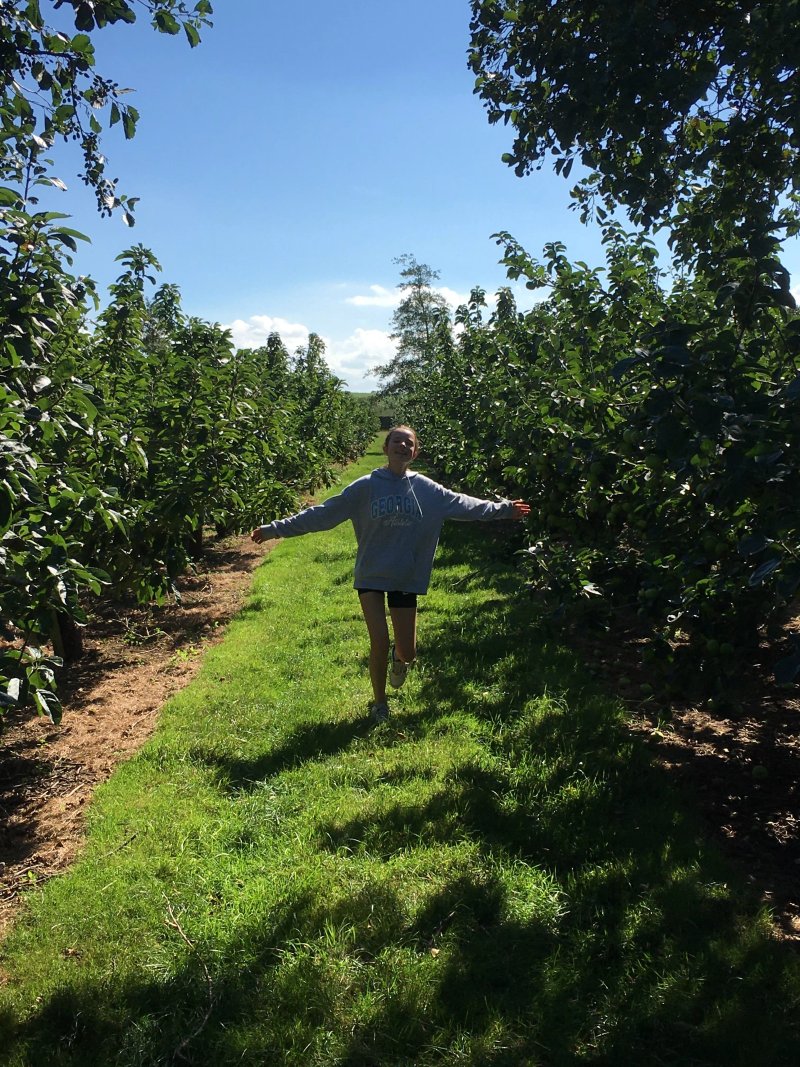 Drove Orchards