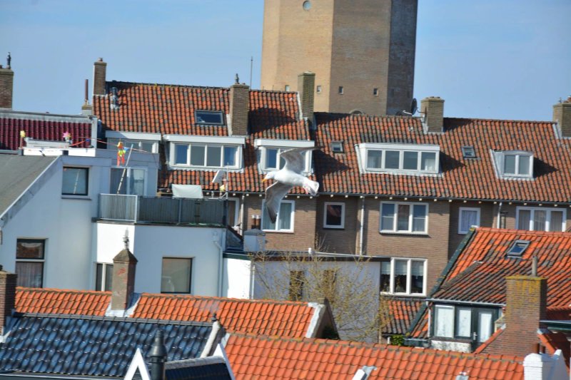 Appartementen Zandvoort
