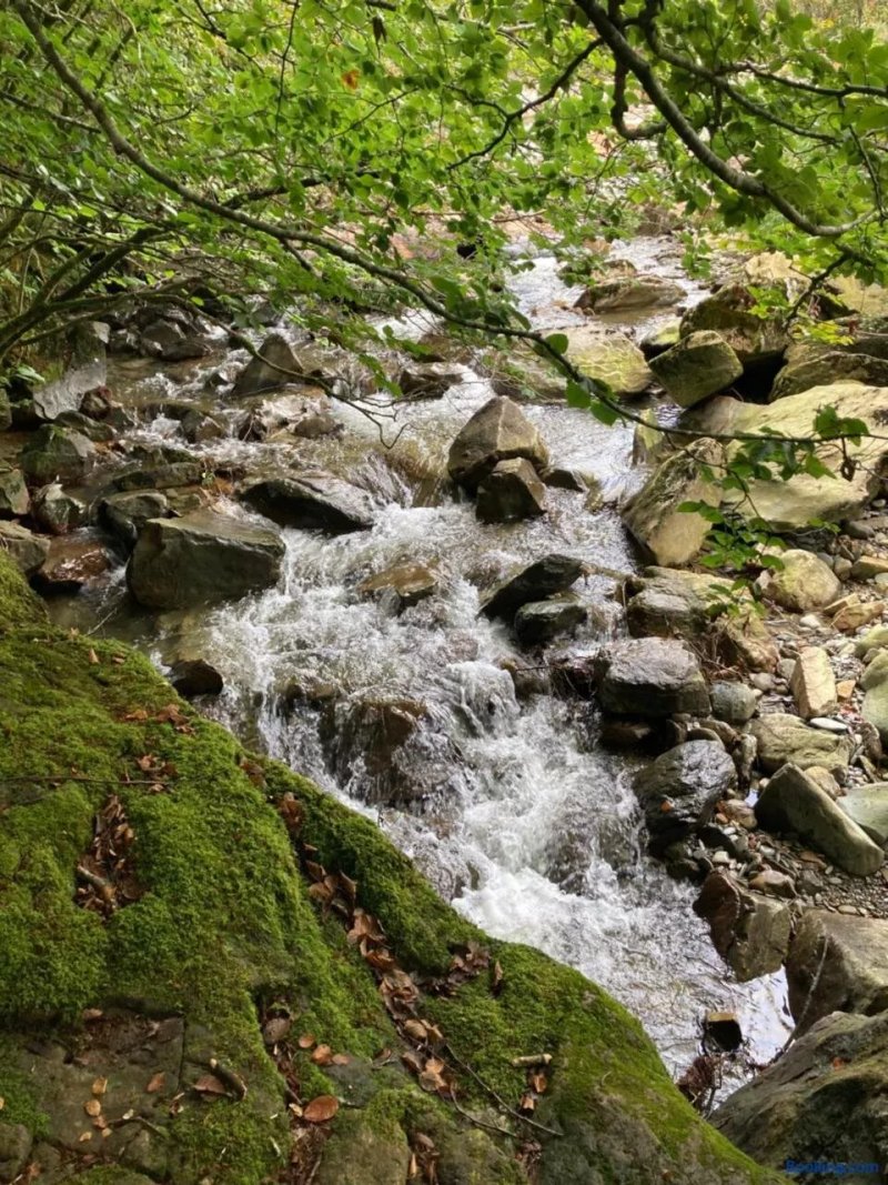 Snowdonia Holiday Lodges