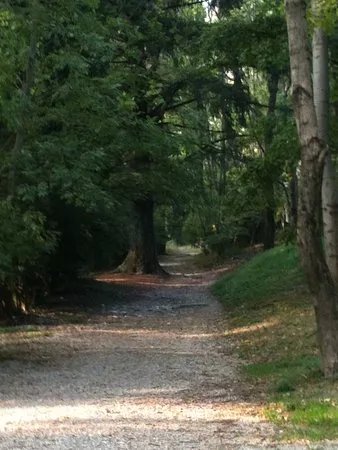 Parco Alpe del Vicere